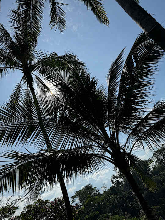 Außenansicht Maya Ubud Resort & Spa Bali