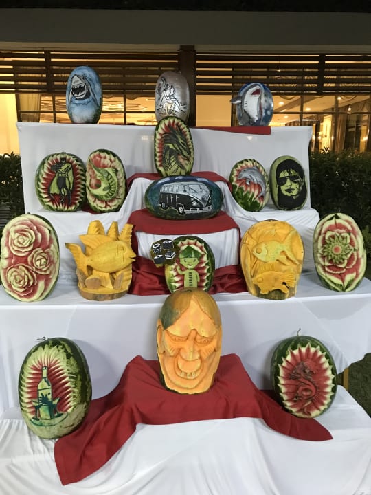 Gastro Adalya Elite Lara