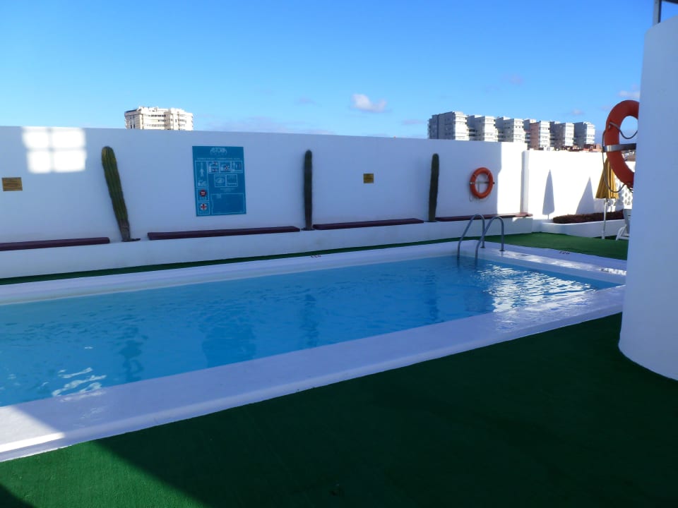 Schwimmen Bull Astoria