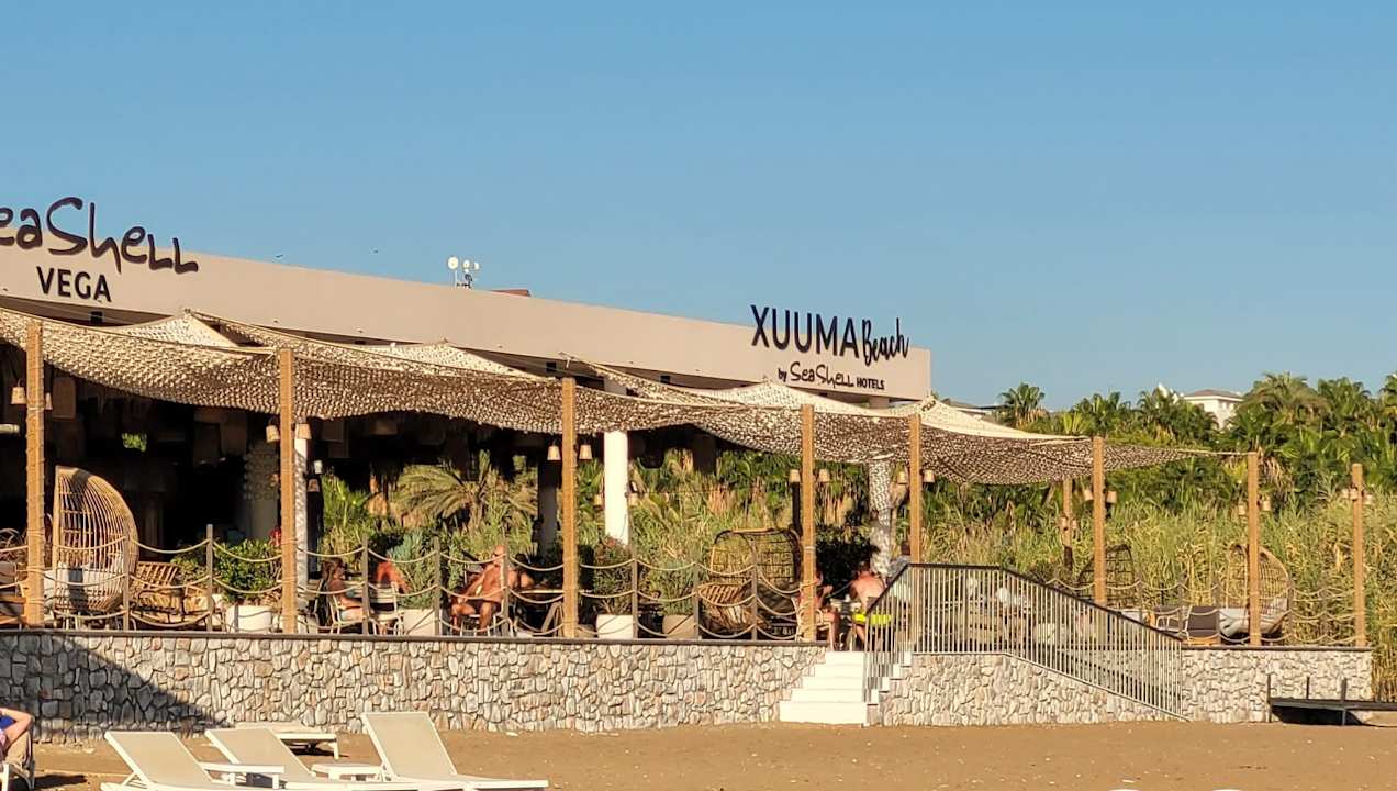 Strand Seashell Vega