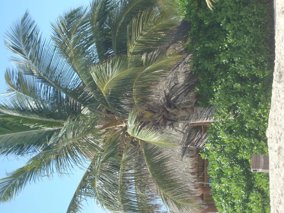 Hotel Catalonia Playa Maroma Catalonia Playa Maroma