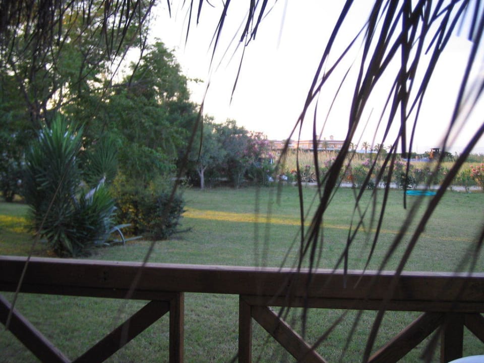 Grün  Crystal Paraiso Aqua Collection