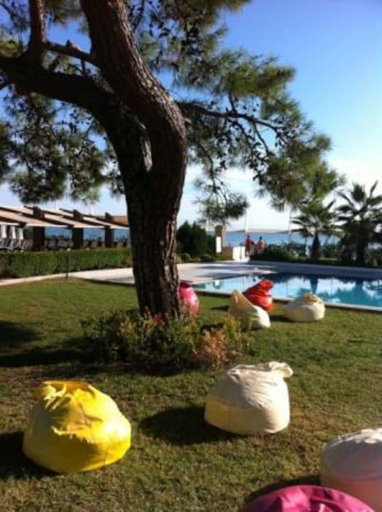 Pool Crystal Flora Pearl Collection