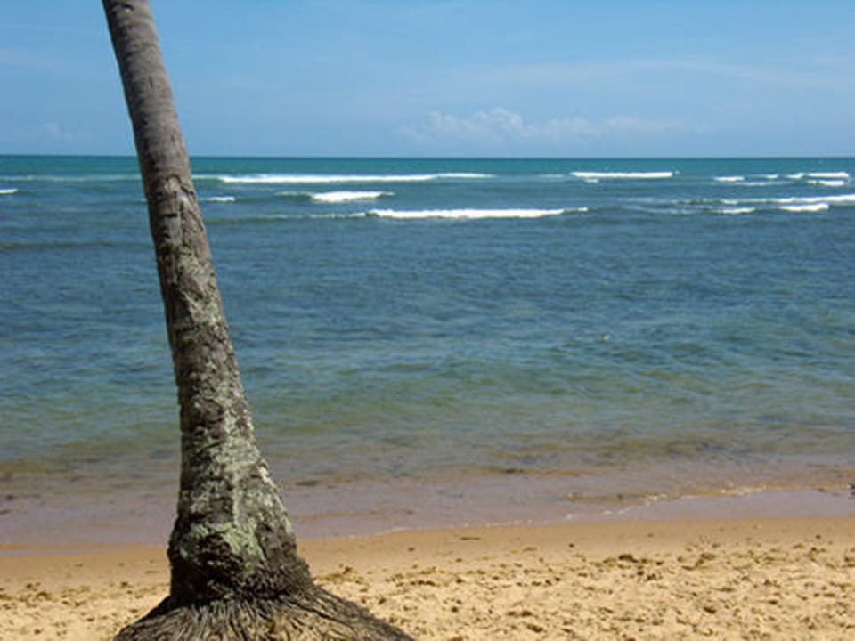 Atlantik vom Hotelstrand bis Afrika Hotel Porto Zarpa