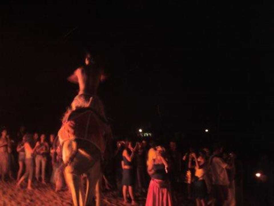 Beach Party Beach Albatros Resort