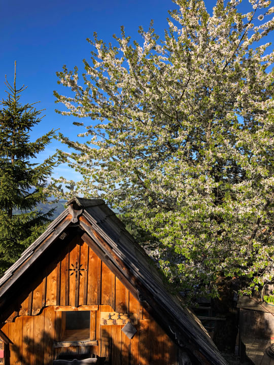 Gartenanlage Natur & Wellnesshotel Höflehner