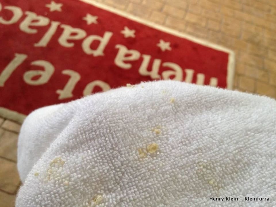 Ob da Liebe im Spiel war? Hotel Mena Palace