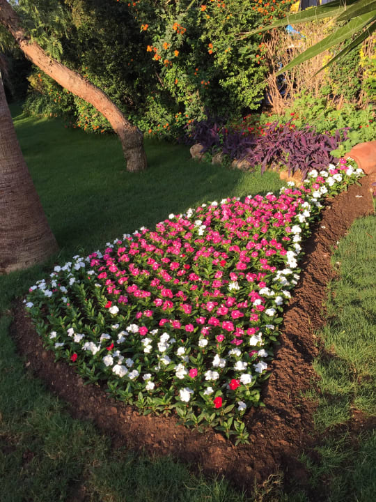 Blumen Belek Beach Resort Hotel