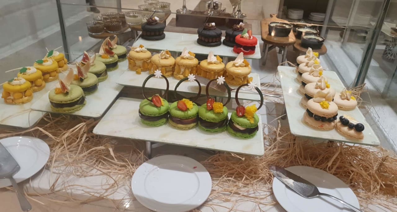 Gastro Acanthus Cennet Barut Collection