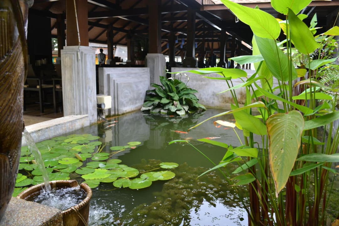 Kleiner Teich am Restaurant The Fair House Beach Resort