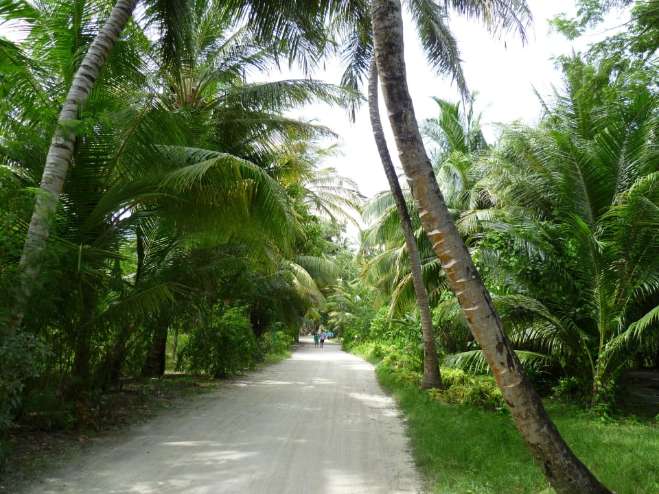 Auf der Insel Meeru Maldives Resort Island