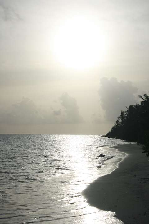 Lagunenseite bei Sonnenuntergang Kuramathi Maldives