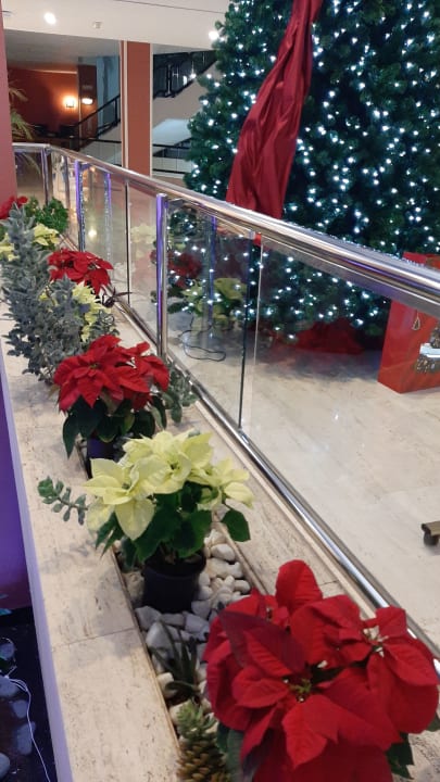 Lobby Hipotels La Geria