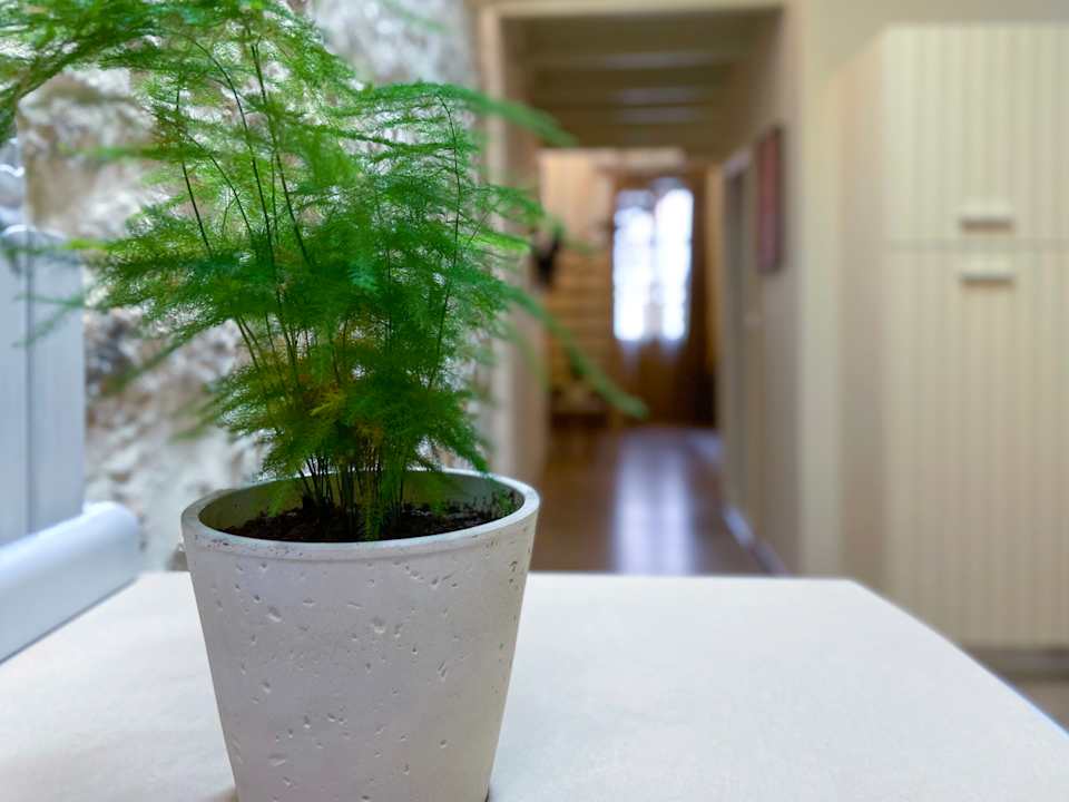 Sonstiges Casa Maistra Residence