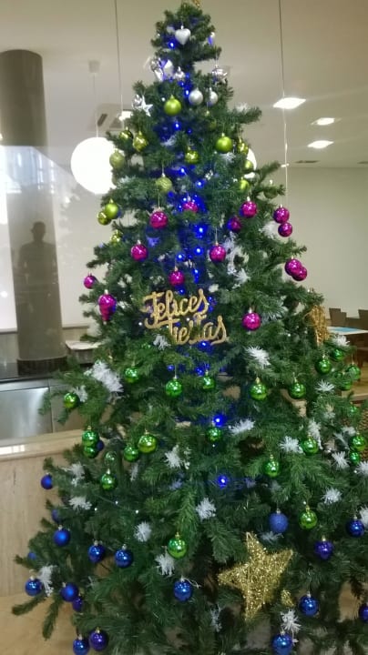Weihnachtsbaum Hotel Pocillos Playa, Adults only
