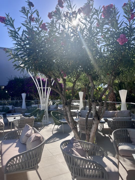 Gartenanlage Lyttos Beach Hotel