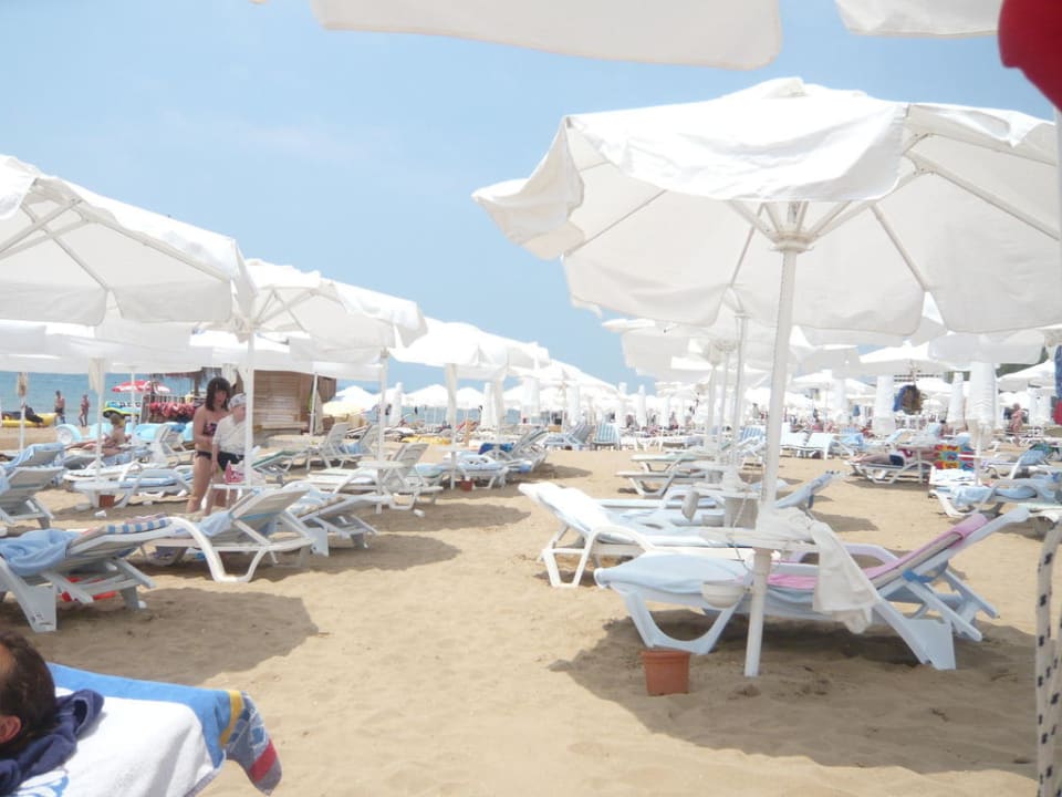 Liegen am Strand Horus Paradise Luxury Resort & Club