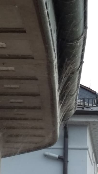 Außenansicht Hotel Traube Rüdesheim