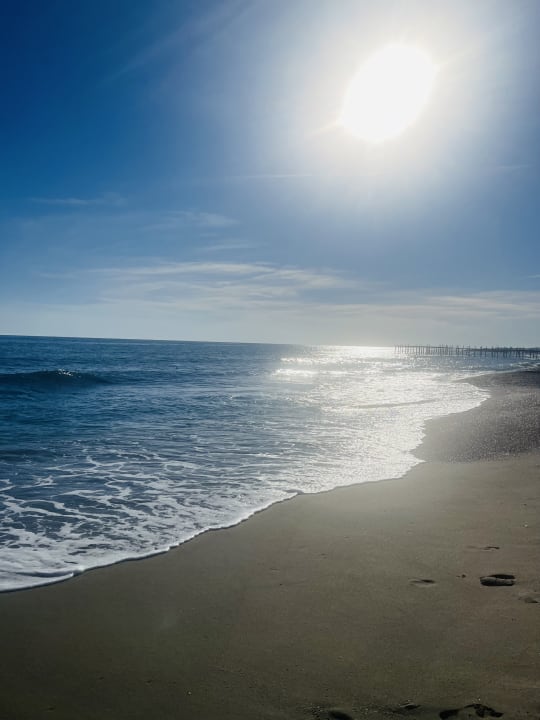 Strand Dizalya Palm Garden