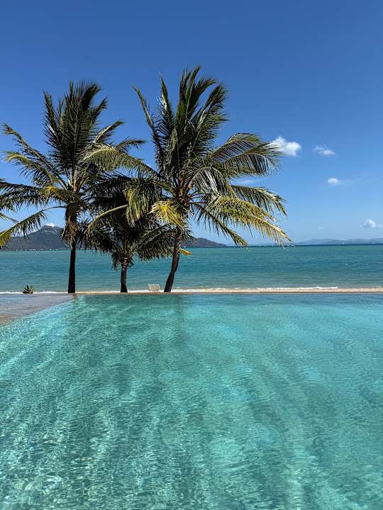 Pool InterContinental Hayman Island Resort