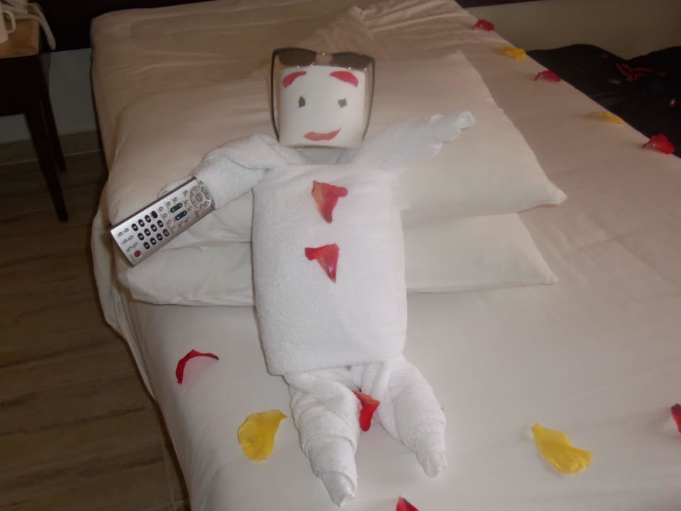 Jeden Tag lag eine Überraschung bereit. Malikia Resort Abu Dabbab