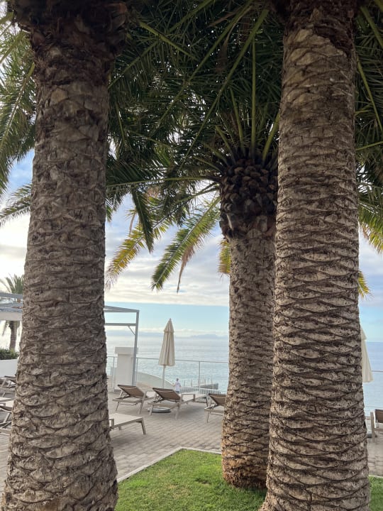 Pool Hotel Riu Madeira