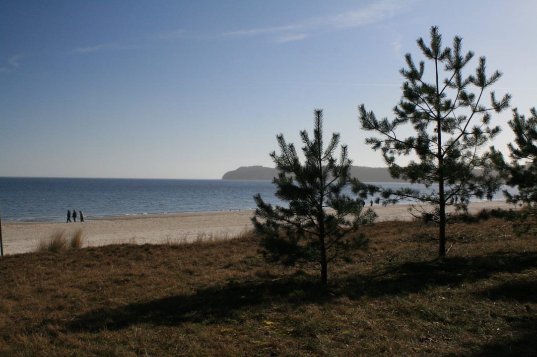 Ausblick Richtung Binzer Seebrücke IFA Rügen Hotel & Ferienpark