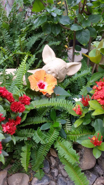 Gartenanlage Hoang Ngoc Beach Resort