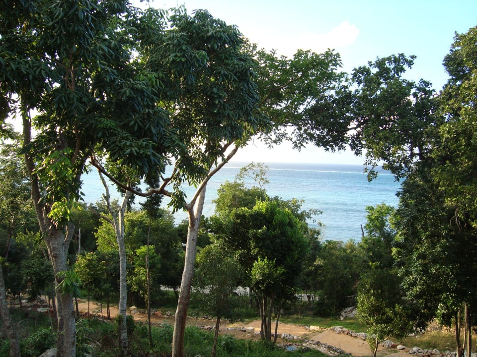 Blick vom Balkon Royal Service at Paradisus Río de Oro Resort & Spa