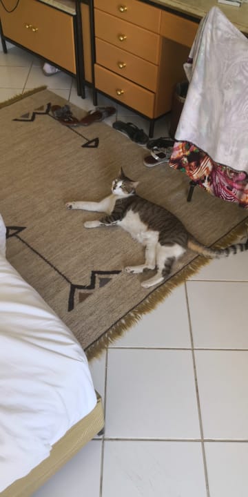 Zimmer Bella Vista Resort Hurghada