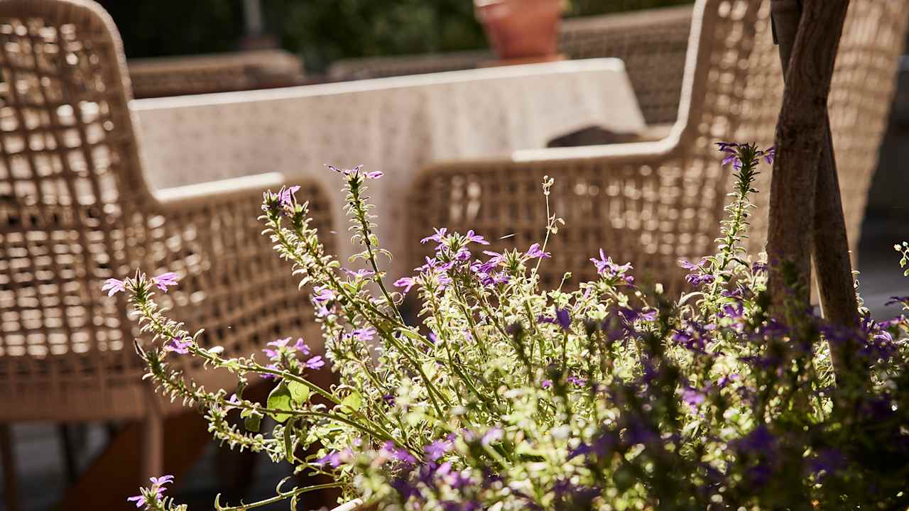 Gartenanlage Der Brandstetterhof
