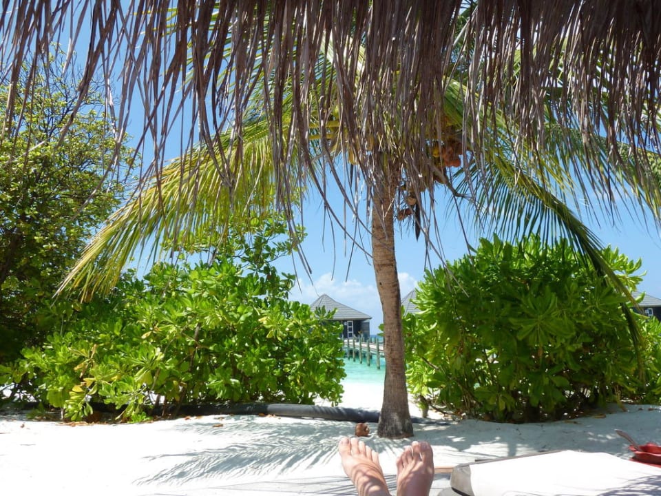 Blick Strandbungi Kuredu Island Resort & Spa