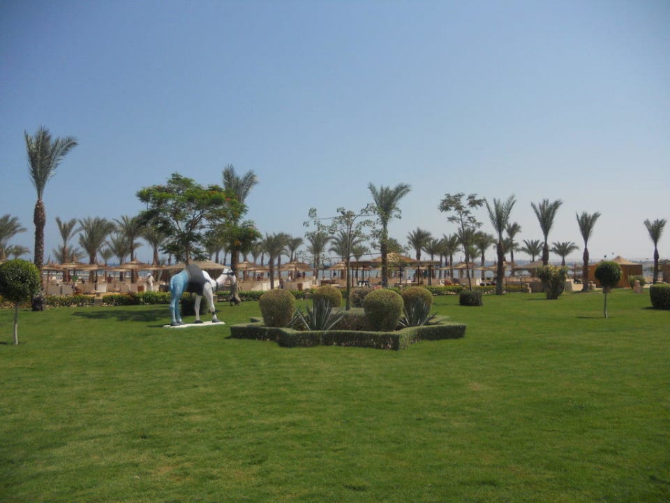 Garten und Strand Pickalbatros Palace Resort
