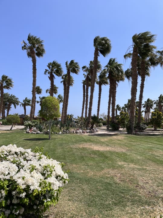 Gartenanlage Lotus Bay Beach Resort