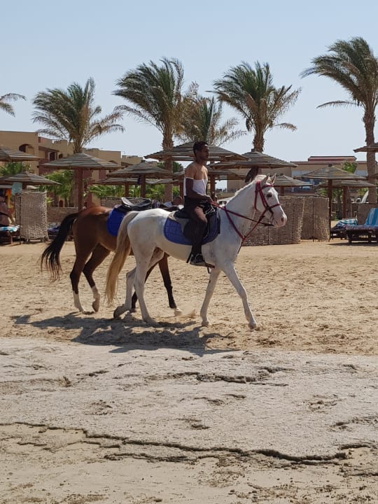 Strand Casa Mare Resort