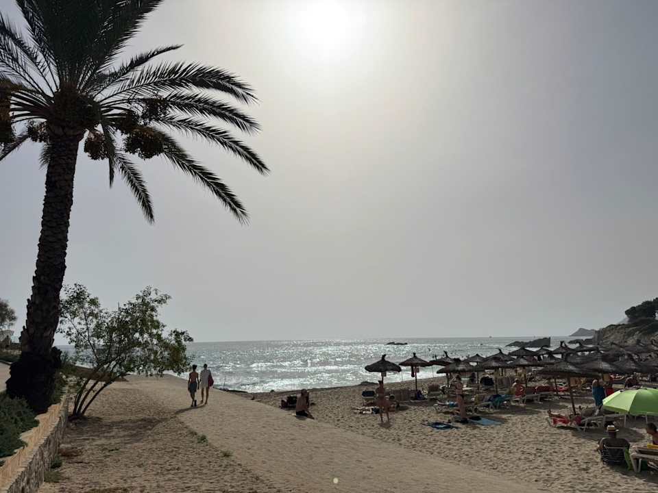 Strand allsun Hotel Lago Playa Park