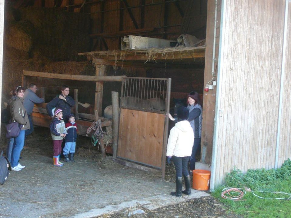 Im Ponystall Hotel Reiterhof Pichler und Nebenhäuser
