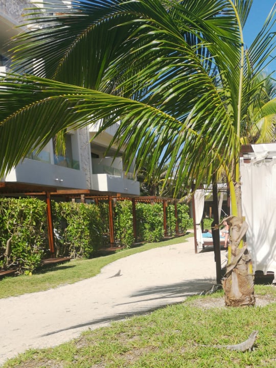 Gartenanlage Akumal Bay Beach & Wellness Resort