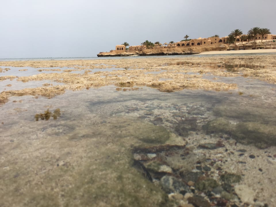 Strand Mövenpick Resort El Quseir