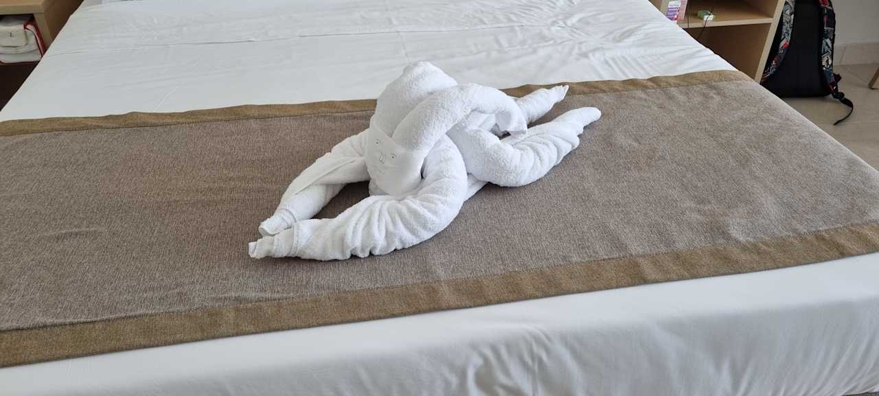 Zimmer JAZ Elite Asteria