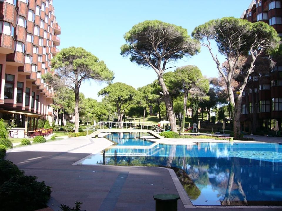 Papillon Zeugma Papillon Zeugma Relaxury