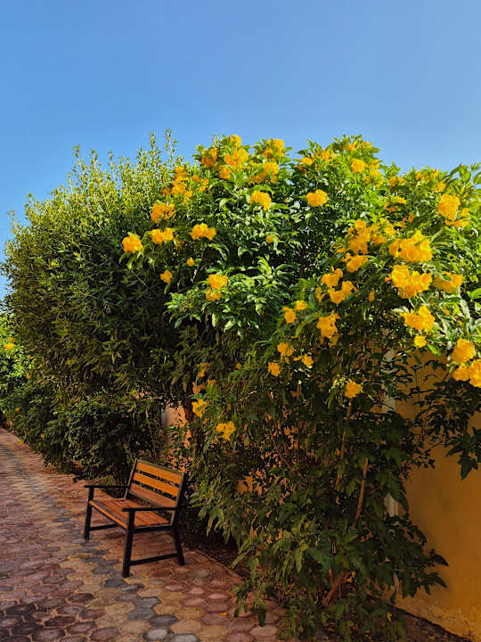 Außenansicht Sentido Caribbean World Soma Bay