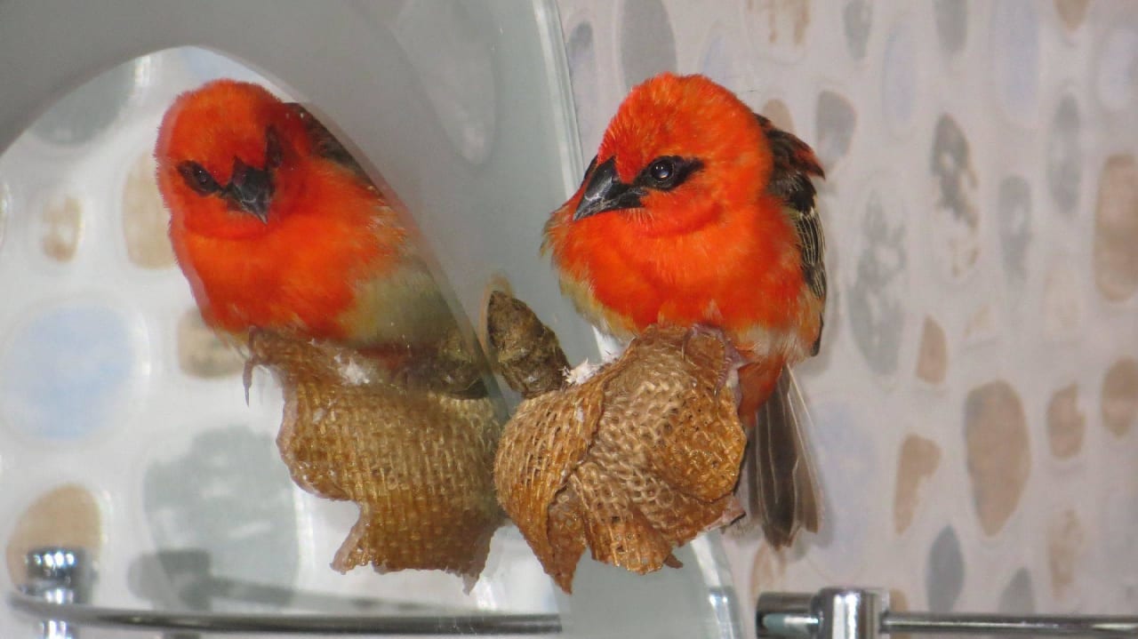 Regelmäßiger Badezimmerbesuch Villa Tannette