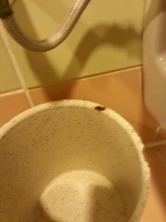 Sauberkeit Bad / Toilette Limak Limra Hotel & Resort