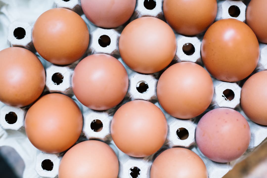 Gastro Hotel zum Hirschen