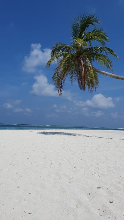 Strand Meeru Maldives Resort Island
