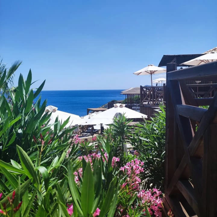 Gartenanlage Hotel Kalithea Horizon Royal