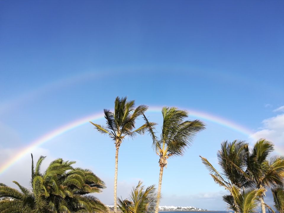 Ausblick Hotel Las Costas