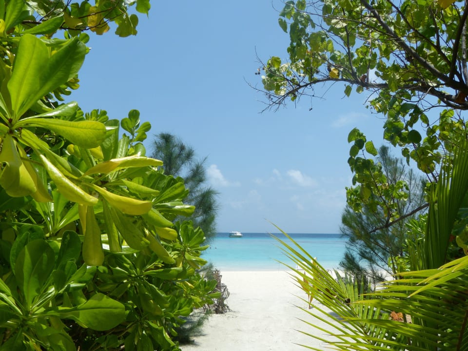 Standardbungalow 15 Summer Island Maldives