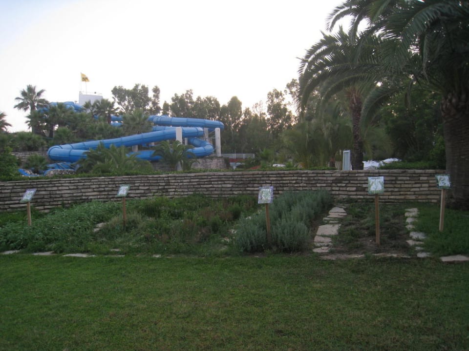 Club eigener Kräuter-Garten Monachus Family Resort Sorgun
